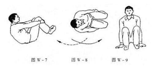 动物教您来养生