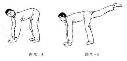 动物教您来养生