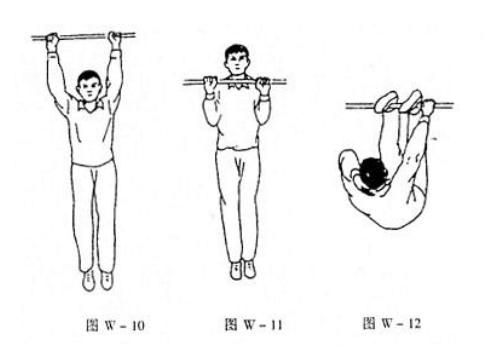 动物教您来养生
