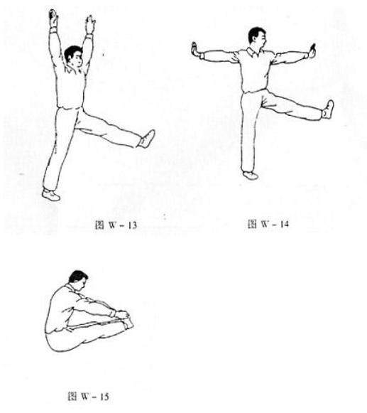 动物教您来养生